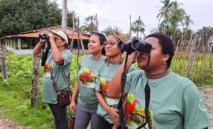 UFMA oferece formação em turismo de observação de aves