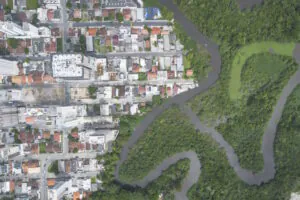 Cerca de 70% dos municípios catarinenses criaram leis que fragilizam APPs urbanas