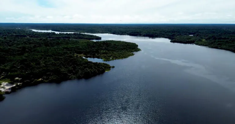 Documentário mostra o impacto do plástico na avifauna de rios no AM