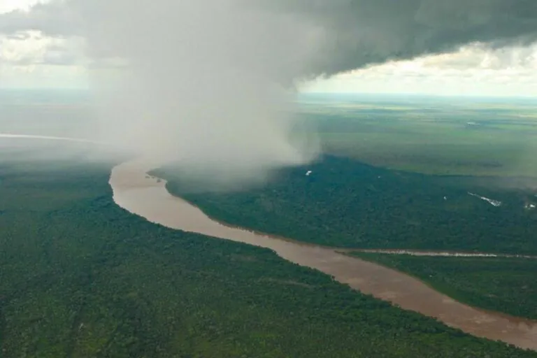 Florestas sem destino definido sustentam rios voadores na Amazônia, aponta estudo