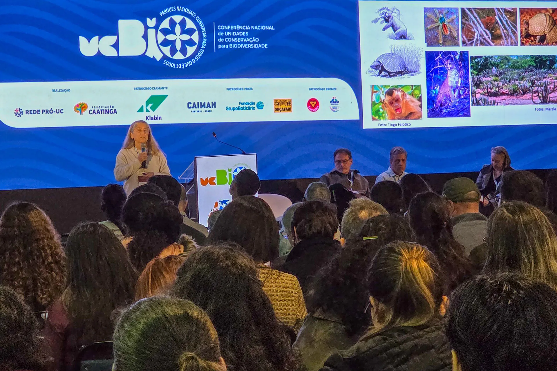 Para conservar a biodiversidade (de verdade) é preciso atuar com base em evidências