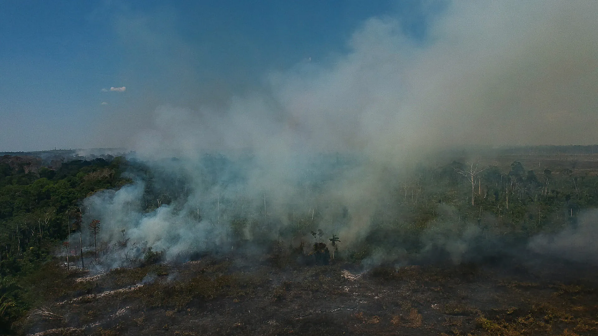 Por que os desmatadores investem em destruir a floresta amazônica  – 3: métodos do estudo