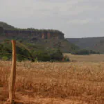 A crise do Cerrado em revisão: – 8.: limites e riscos do Código Florestal