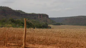 A crise do Cerrado em revisão: – 8.: limites e riscos do Código Florestal