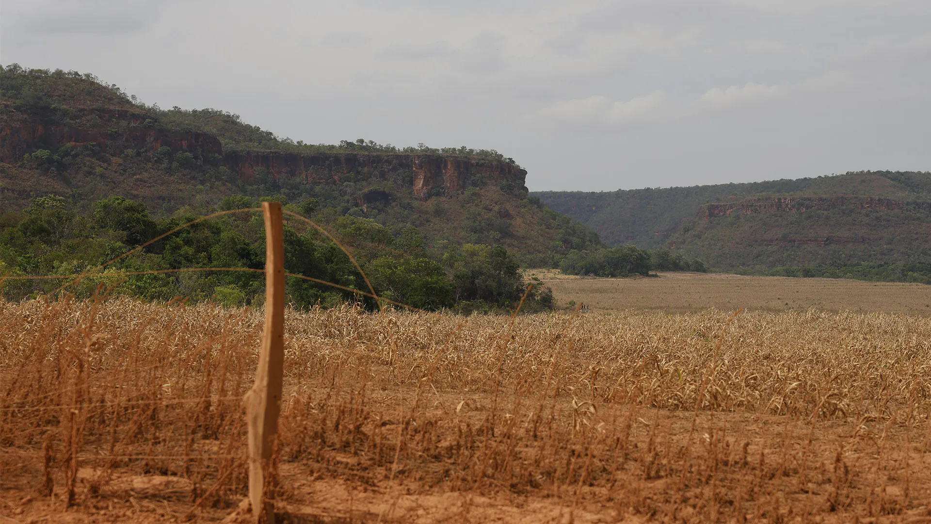 A crise do Cerrado em revisão: – 8.: limites e riscos do Código Florestal