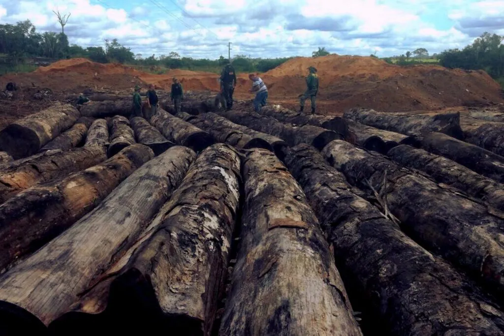 A reconstrução da política ambiental esbarra no déficit de servidores