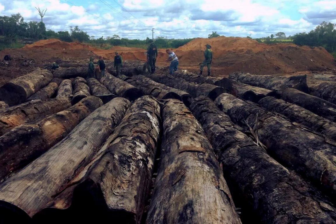 A reconstrução da política ambiental esbarra no déficit de servidores