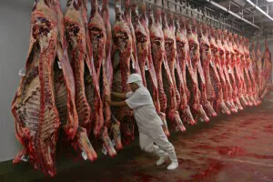Carne brasileira fica livre de tarifa dos EUA apesar de disputa ambiental