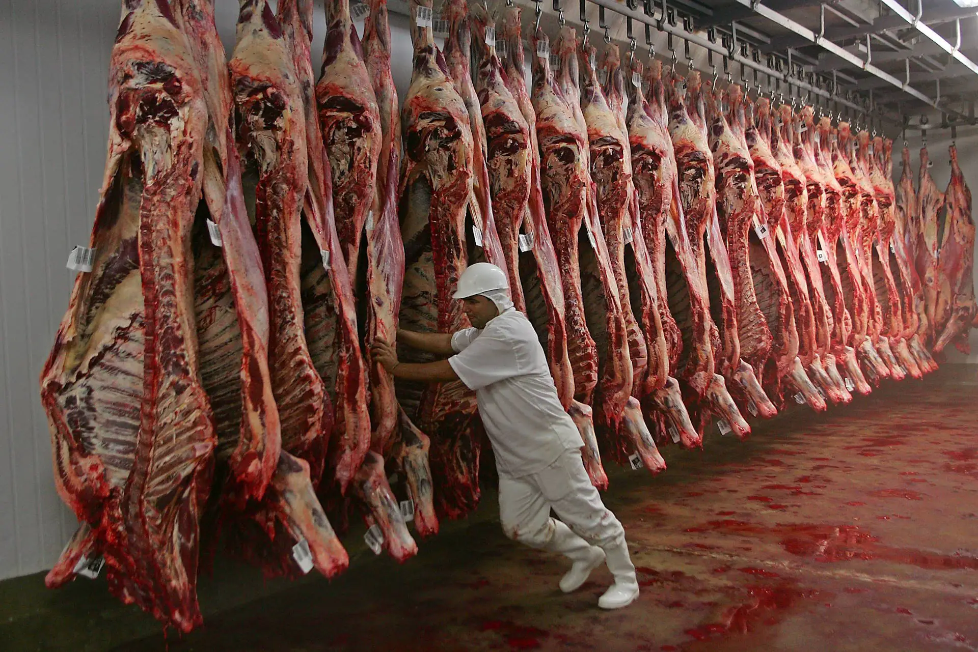 Carne brasileira fica livre de tarifa dos EUA apesar de disputa ambiental