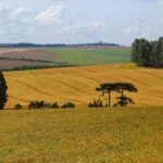 Coalizão Brasil aponta adaptação e uso sustentável da terra como resposta ao Super El Niño