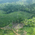 Demora em desintrusão faz crescer tensão na TI Cachoeira Seca, dos Arara