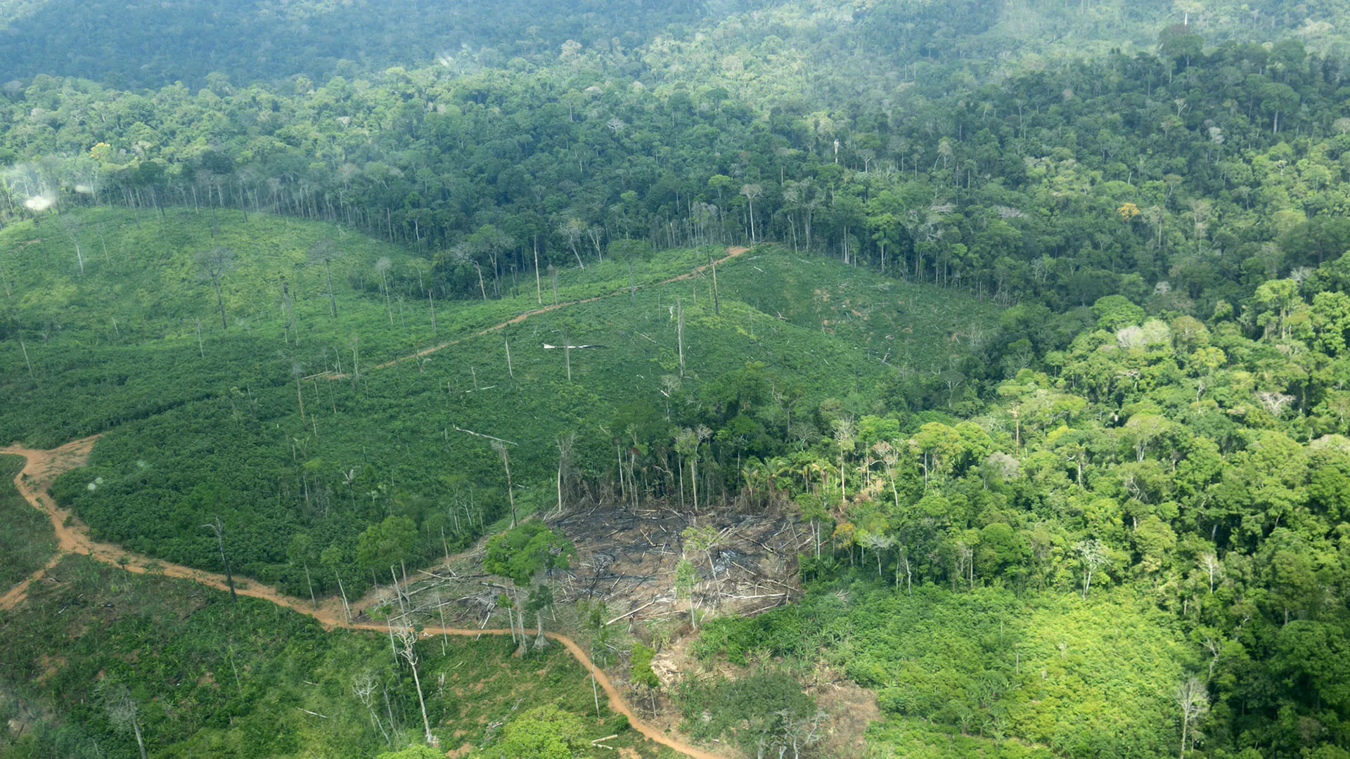 Demora em desintrusão faz crescer tensão na TI Cachoeira Seca, dos Arara