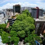 Em meio à crise climática, Porto Alegre recebe sua primeira Semana de Ação Climática
