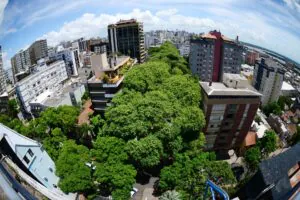 Em meio à crise climática, Porto Alegre recebe sua primeira Semana de Ação Climática