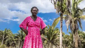 Guardiãs do babaçu lutam pelo território