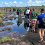 Um Dia no Parque: mais de 300 áreas protegidas abrem as portas no próximo final de semana