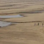 Amazônia está secando. O que podemos fazer 