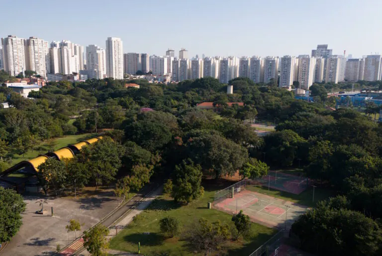 Depois do desmonte, reconstruir a governança ambiental paulista
