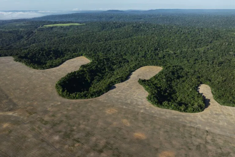 Desmatamento na Amazônia chega ao menor patamar desde 2013