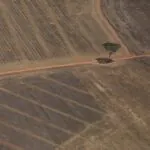 Desmatamento na Amazônia reduz chuvas e compromete produção de grãos no Paraná