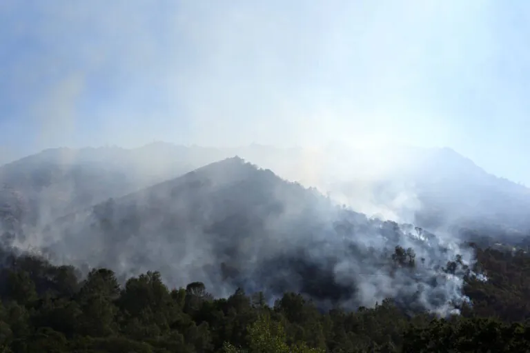 Incêndios florestais elevam emissões a níveis incomuns em várias partes do globo