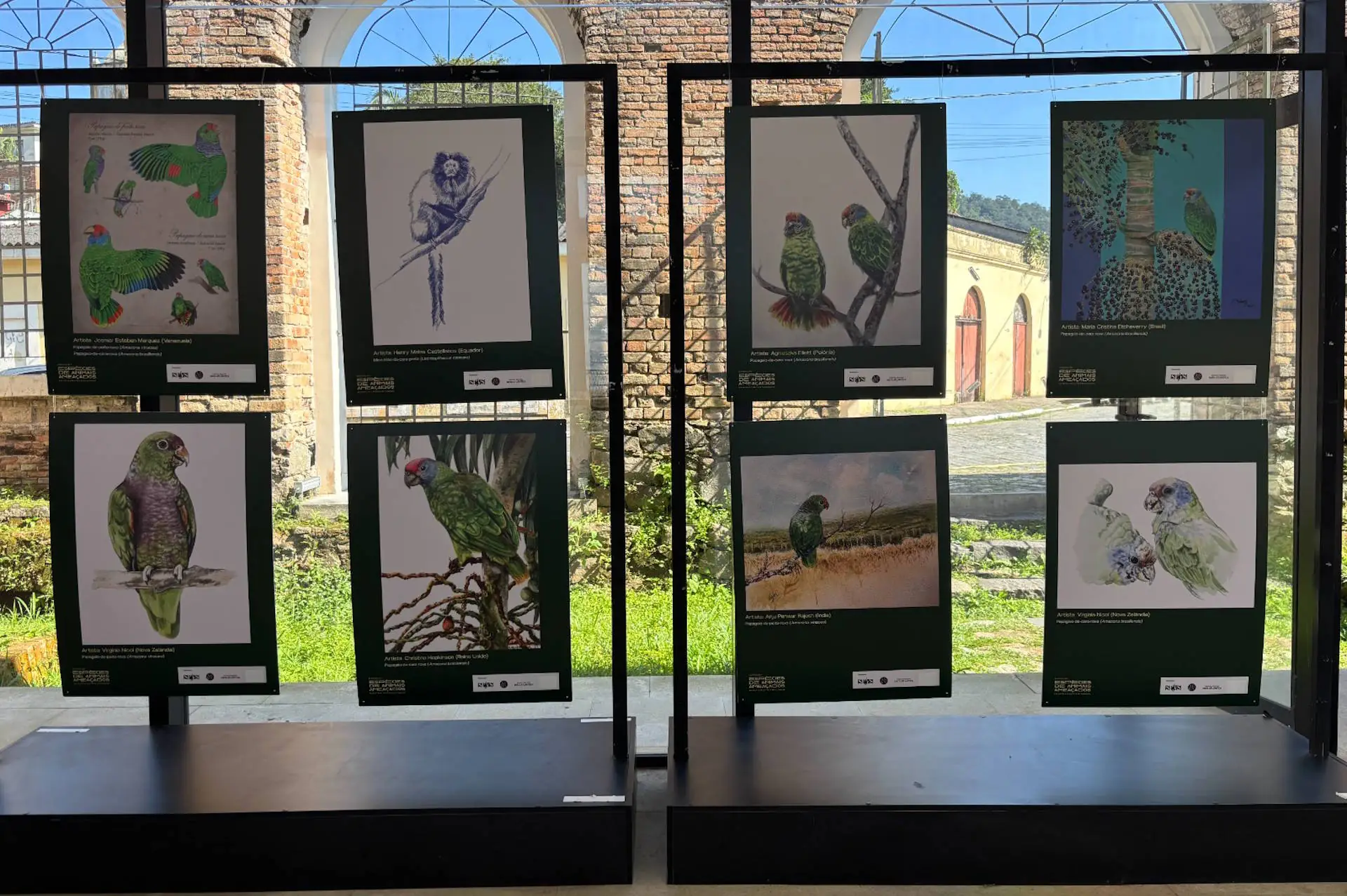 Exposição reúne artistas de nove países em defesa de espécies ameaçadas da Mata Atlântica