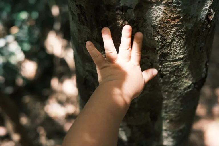 Lei que garante direito de crianças e adolescentes à natureza é sancionada