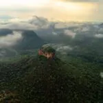 Muito além das árvores tortas: conheça a diversidade do Cerrado em fotos