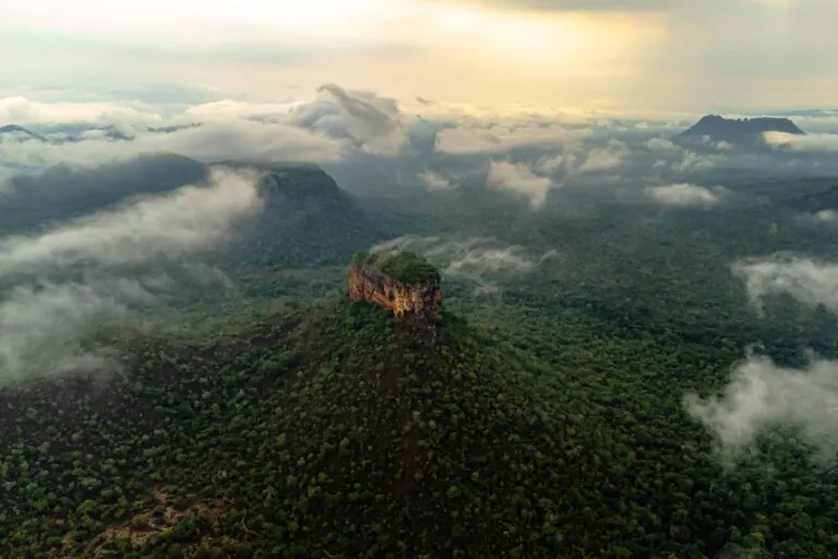 Muito além das árvores tortas: conheça a diversidade do Cerrado em fotos