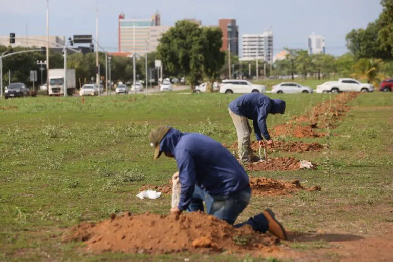Quando a política climática não cabe no orçamento