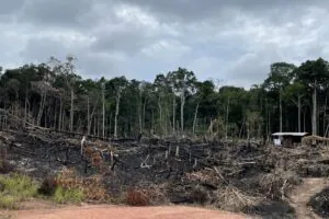 SEMA lança “cortina de fumaça” sobre origem da fumaça em Manaus e encobre BR-319 como causa