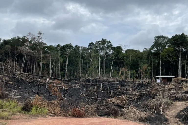 SEMA lança “cortina de fumaça” sobre origem da fumaça em Manaus e encobre BR-319 como causa