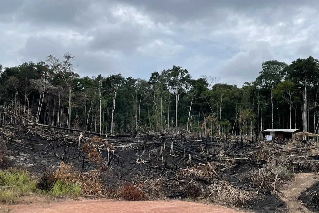 SEMA lança “cortina de fumaça” sobre origem da fumaça em Manaus e encobre BR-319 como causa
