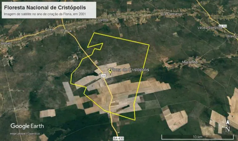 Vira lei projeto que extingue floresta nacional “fantasma” na Bahia