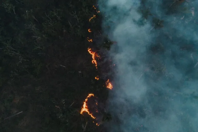 Adaptação climática é por conta própria no Amazonas