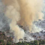 Desmatamento e um futuro perigoso em Lábrea – 6: resultados sobre a evolução temporal das trajetórias de desmatamento