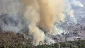Desmatamento e um futuro perigoso em Lábrea - 6: resultados sobre a evolução temporal das trajetórias de desmatamento