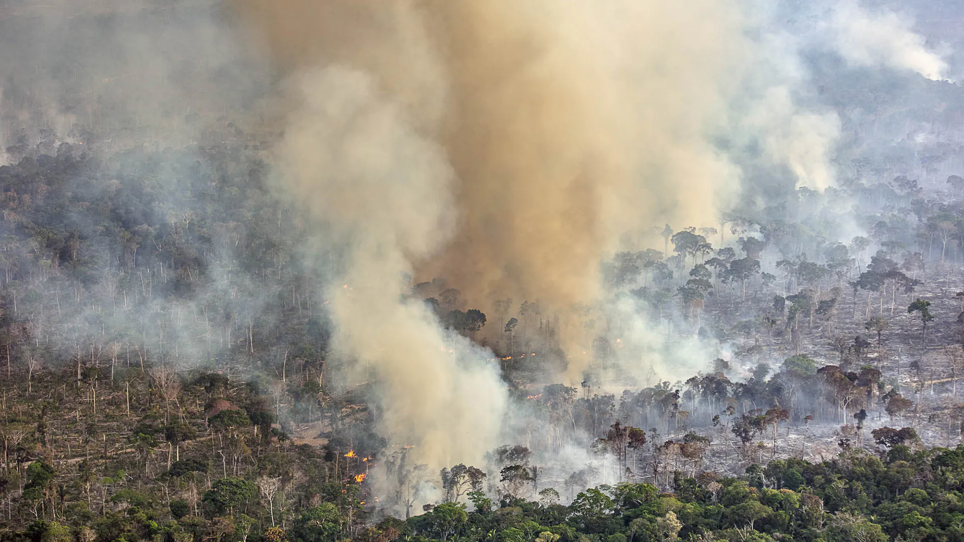 Desmatamento e um futuro perigoso em Lábrea – 6: resultados sobre a evolução temporal das trajetórias de desmatamento
