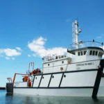 Expedições percorrem a costa brasileira para estudar a biodiversidade marinha