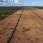 Futuros governadores têm desafio de recuperar o Cerrado, berço das águas 