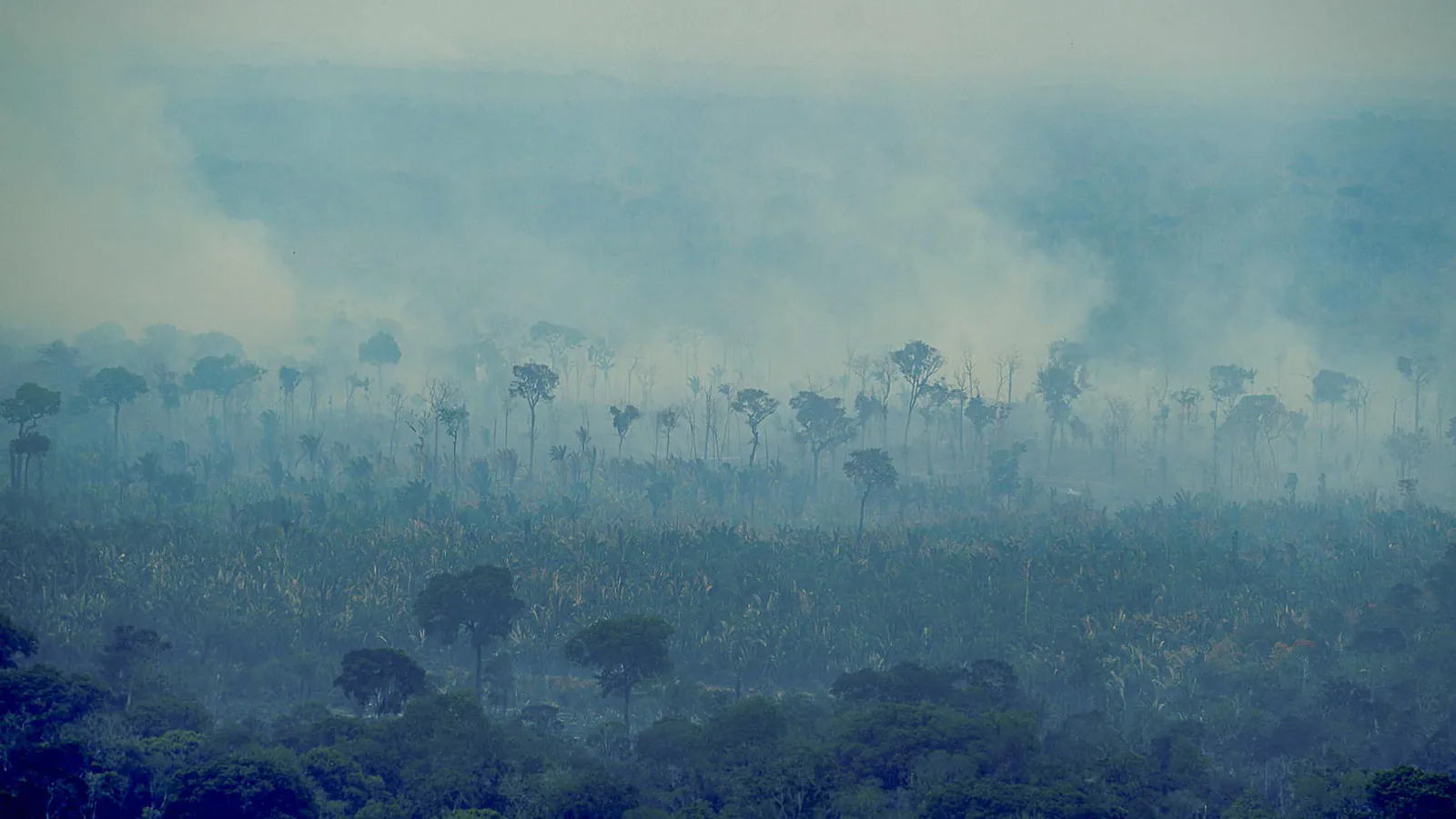 Ibama identifica uso do fogo para ampliar desmatamento e pastagens no Amazonas