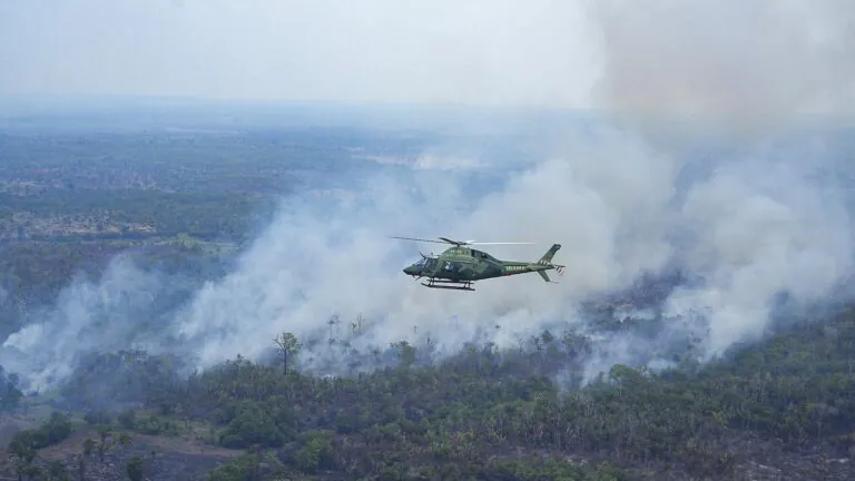 Juíza intima União e Estados sobre incêndios na Amazônia