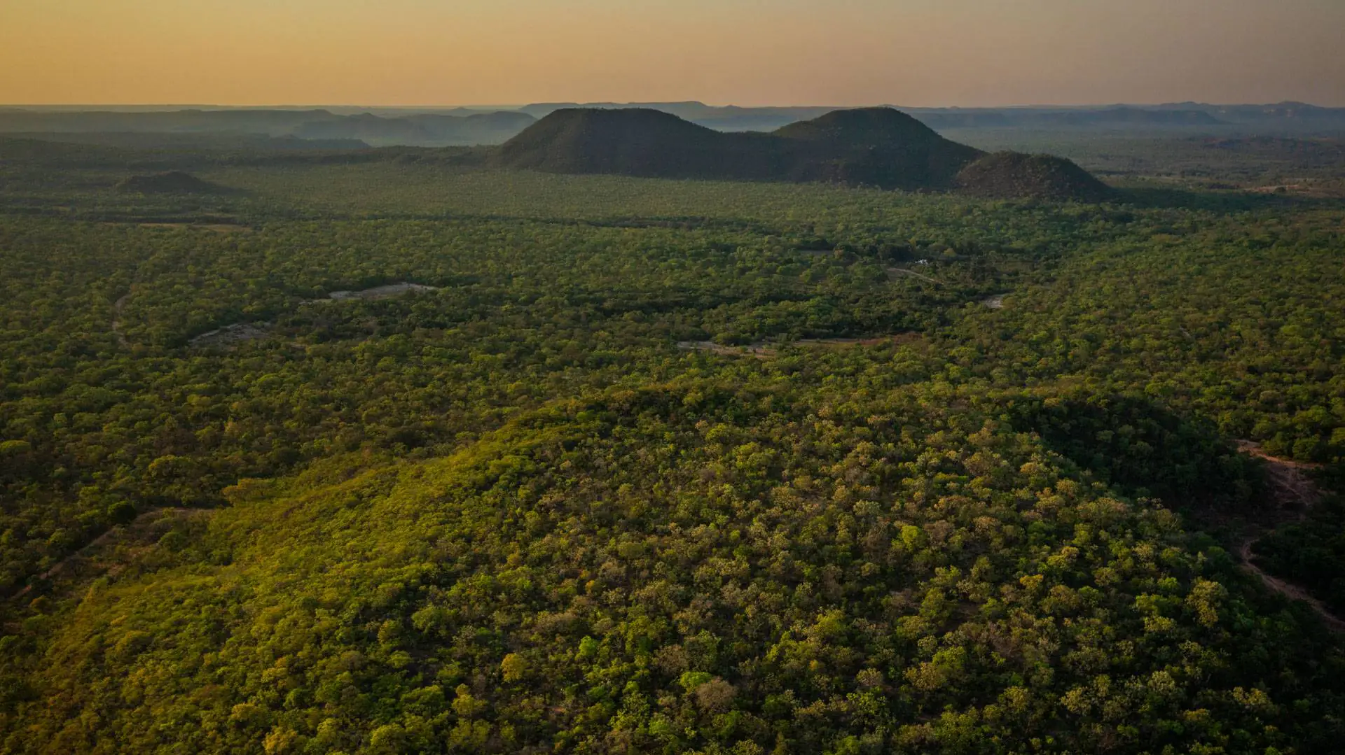 Os corredores ecológicos que dão esperança à onça-pintada no Cerrado