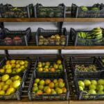 Políticas alimentares foram ‘totalmente degradadas’ sob Bolsonaro, afirma secretária 