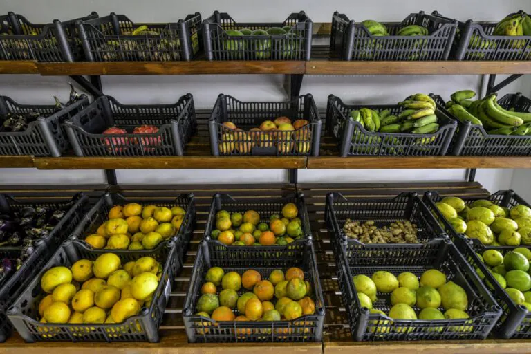 Políticas alimentares foram ‘totalmente degradadas’ sob Bolsonaro, afirma secretária 