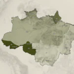 Só 1% do orçamento foi destinado ao clima por candidatos a governador que buscam permanecer no poder na Amazônia 