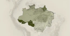Só 1% do orçamento foi destinado ao clima por candidatos a governador que buscam permanecer no poder na Amazônia 