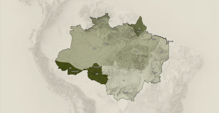 Só 1% do orçamento foi destinado ao clima por candidatos a governador que buscam permanecer no poder na Amazônia 