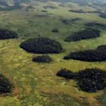 Vegetação interrompida: levantamento mostra avanço da fragmentação de habitats no Brasil