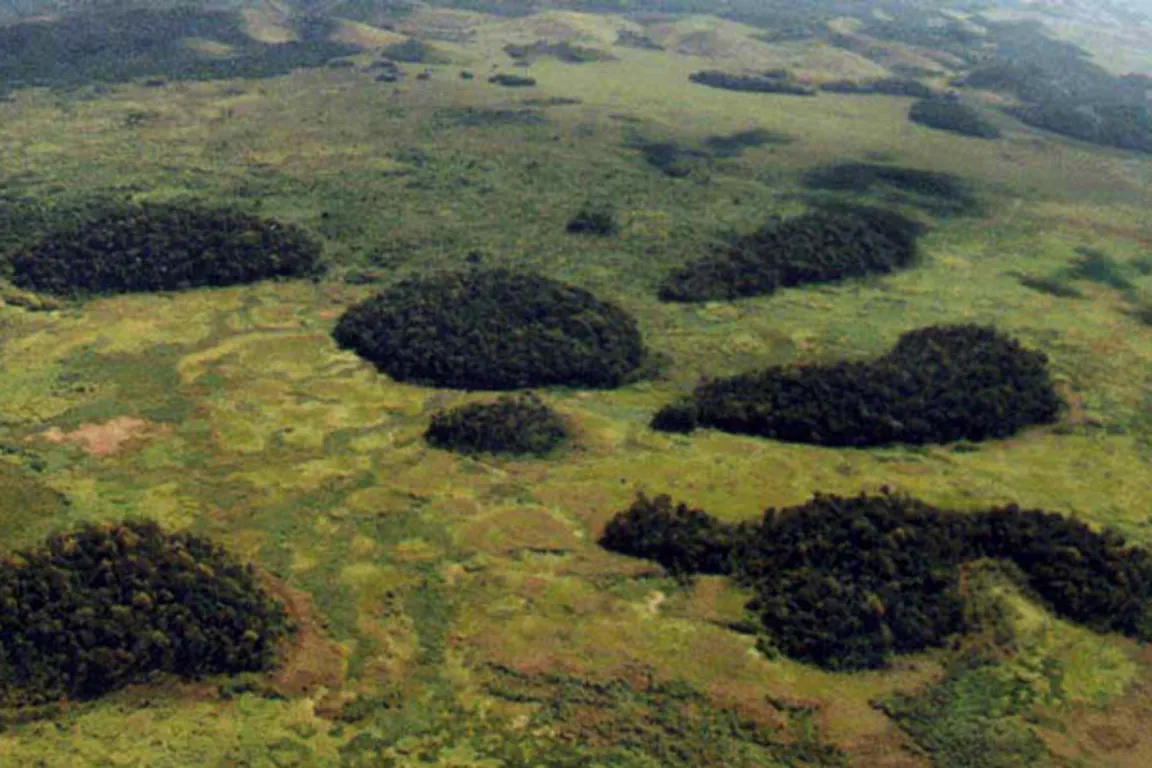 Vegetação interrompida: levantamento mostra avanço da fragmentação de habitats no Brasil
